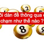 Nuôi dàn đề thông qua cầu chạm như thế nào
